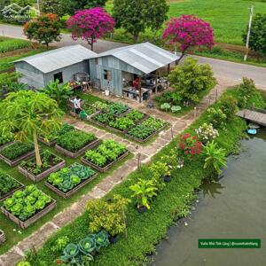 Đất vườn cây hàng năm lô 2 mặt tiền rẻ đẹp 390 triệu/479m2