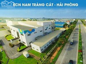 Bán lô đất mặt đường Tân Vũ 2, Tràng Cát 86,8m2 giá chỉ 34tr/m2