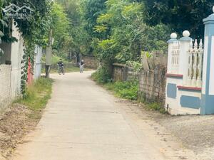 BAN NHANH 202M2 ĐẤT SƠN TÂY, LOANH QUANH 20TR/M2