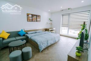 Cho thuê căn hộ cao cấp 1 ngủ rộng (43m2) Waterfront City.