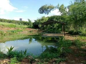 Bán gấp 7000m2 có 500m2 thổ cư giáp suối gần chợ Thống Nhất Bù Đăng