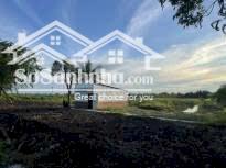 Khóm Soài Côn, Phường 2, TX. Vĩnh Châu, tỉnh Sóc Trăng (TP.Cần Thơ Mới)