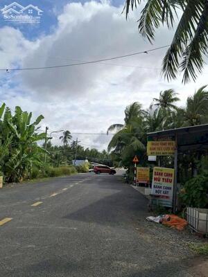 MẶT TIỀN LỘ CẦU NHÀ VIỆC PHÚ NHUẬN TP BẾN TRE