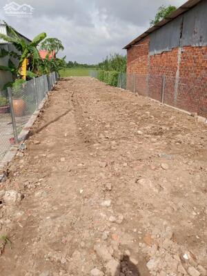 Đất nền đường Ông Hoành phường Mỹ Trà (xã Mỹ Trà cũ), chưa qua cầu Ông Hoành quẹo phải vô 700m