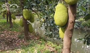  HÀNG HIẾM TRÊN THỊ TRƯỜNG – 1000m² BÁM SUỐI + VIEW HỒ TRỊ AN