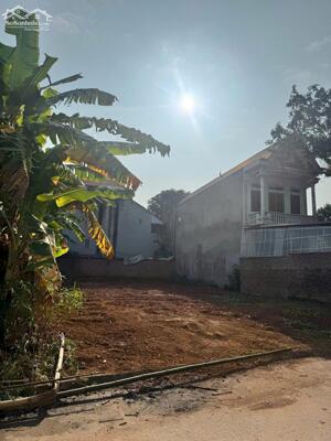 Bán 2 lô hàng f0 Đôn Hậu, Khai Quang, Vĩnh Yên giá chỉnh 2,5tỷ