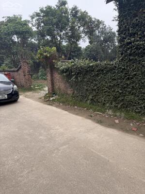 Bán ĐẤT P/Lô 2 Ô Tô Tránh Full Thổ Cư 100/107m2-MT5m Gốc Thông Minh Phú 2,8 Tỷ.