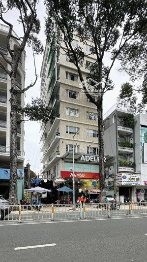 siêu phẩm độc tôn - bán nhà mt võ văn tần, q. 3 - dt (12 x 22m), hầm 11 tầng - 175 tỷ - 800 tr/th