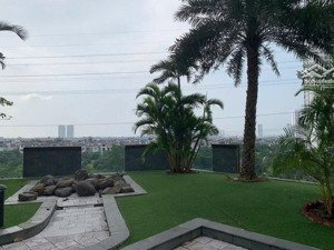 cực hiếm tổ hợp sàn thương mại 2815m2(490m sàn văn phòng 2325m khuôn viên bể bơi)cho thuê 3 tỷ/năm.