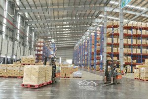 kho xưởng đa diện tích cho thuê lẻ kế kcn vsip1 và kcn sóng thần 2 13000m2 pccc chuẩn tự động