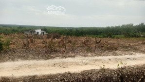 bán đất bán đất 16.000m2 tại đường 349, tt tân định, bắc tân uyên, hcm, giá siêu hời 13,5 tỷ