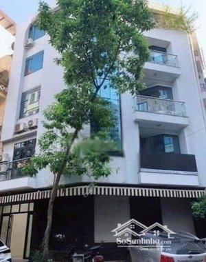 cho thuê nhà lô góc mt 14m, dt 90m2 x 5 tầng thông sàn tại trung yên 11 ngay vũ phạm hàm giá 45tr