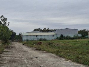 bán nhà xưởng có thể phân thành 30 lô