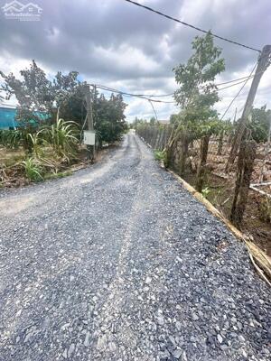 BÁN ĐẤT DT 4.300m2 fULL THỔ CƯ TẠI LONG AN