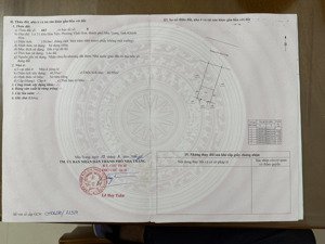 bán đất tại bùi huy bích, vĩnh hòa, nha trang, giá tốt 65 triệu / m2, 150m2. liên hệ 