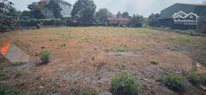 chính chủ em bán lô đất sen trì 884m ont. giá đầu tư. lh 