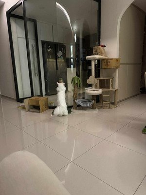 bán căn hộ 3pn, 3wc, 145m2 tại the view riviera point, giá cực chất 14,2 tỷ