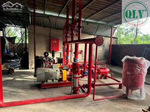  Cho thuê nhà xưởng quy mô lớn 51.000m2 Phước Hòa Phú Giáo Bình Dương.