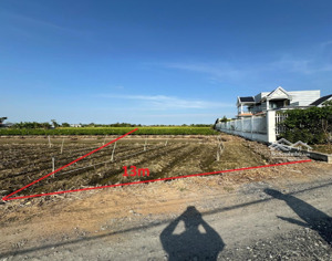 bán đất tại mạc văn thành, tân đông, gò công đông, tiền giang, 1 tỷ, 730 m2 đẹp, tiện ích