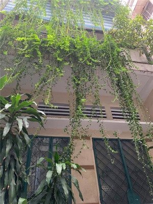 bán nhà lê văn sỹ, quận 3 cách 1 căn ra mặt tiền 3 tầng, 5pn chính chủ ở chưa qua đầu tư