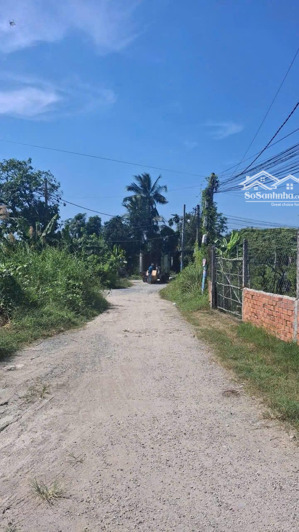 đất vườn bình mỹ củ chi. 1000m có vườn cây ăn trái sẵn. chỉ 3,5 tỉ. đường ô tô