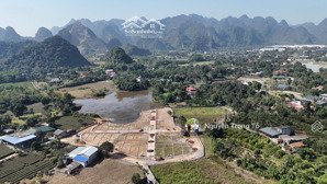 cắt lỗ bằng mọi giá ai nhanh thì còn!