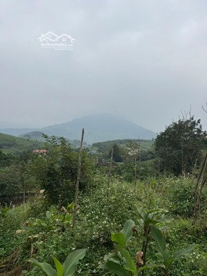 lô đất 36,11m mặt đường trục chính minh quang ôtô tránh thế đất cao view núi, thích hợp nghỉ dưỡng