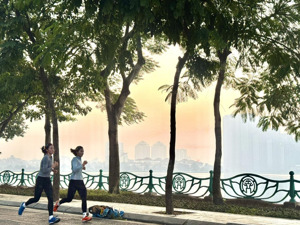 chính chủ cần bán mảnh đất gần phố vệ hồ, thông hồ tây. diện tích 141.2m2, giá 28 tỷ