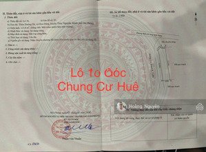 bán lô góc 115m2 khu phân lô chung cư huê, hoa động, thủy nguyên ngay mặt đường quy hoạch rộng 36m