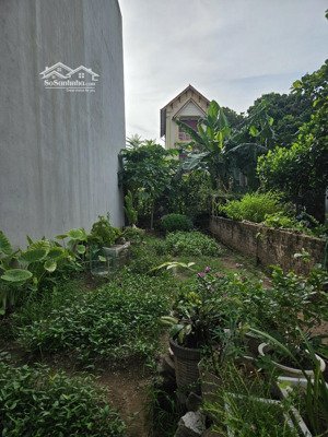 bán đất tại đường hòa bình, yên nghĩa, 6 tỷ, 58m2, đã có sổ