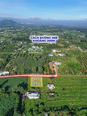 cần bán 3 lô đất bình ba giá rẻ