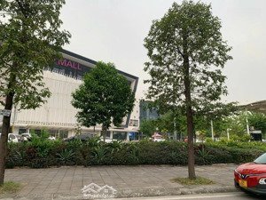 bán đất ngay kdt dương nội - ngõ rộng oto đỗ gần - giá đầu tư 49m2 nhỉnh 6 tỷ