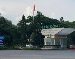 bán gấp lô đất 172m2 đối diện khu cn phước đông, gò dầu, tây ninh giá 800 triệu. shr