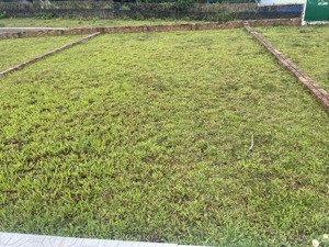 gia đình e có duy nhất 1 lô đất tại phú cát, chỉ 3.1 tỷ có 109m2 vị trí đẹp cần bán gấp