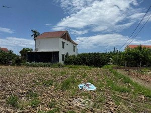 đất trà kiểm - hoà xuân - đà nẵng - 133m2 - mặt tiền đường bê tông 5m - cách trung tâm 10km