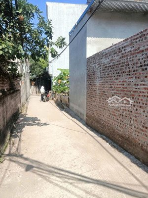 44,3m2 phượng nghĩa - phụng châu làn 2 trục kênh phượng nghĩa, ô tô vào đất