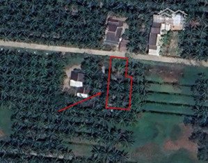 gửi 3% hoa hồng bán giúp em lô đất xã tân phong, bến tre 507.8m2, giá 350 triệu, đường xe 7 chỗ