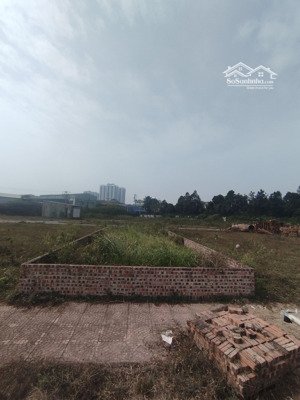 hot - lô đất dịch vụ an thọ 60m2 - mt 6.01m - ngay mặt vành đai 3.5 - hàng đầu tư đẹp - 188 tr/m2