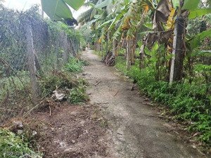 bán đất tại an sơn 17, 5,5 triệu/m2, 5602m2, hàng hiếm tại bình dương đường 2,5m