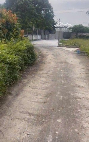 đất trung tâm trực trang bát trang an lão hải phòng đường 4m giá chỉ 650tr