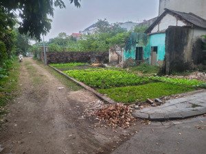 bán nhanh mảnh đất bìa làng chợ kim ngõ ô tô tránh giá 43tr/m2