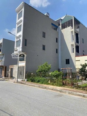 thua lỗ coin em bán gấp lô đất phú cát hoà lạc giá 3 tỷ 102m2 cách ql21 100m, sổ sẵn