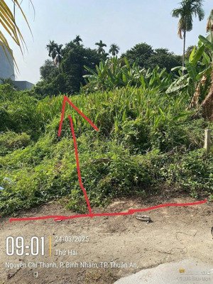 bán đất bình nhâm 16, 1 sẹc hẻm xe hơi tới đất giá chỉ 3 tỷ