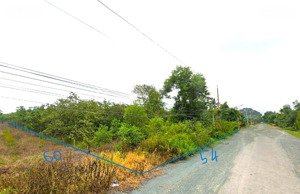 bán 3 sào điều 3006m2 mặt tiền 54m dài 60 nở hậu phường chơn thành đồng nai trung tâm kcn giá 400tr