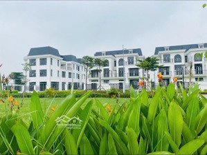 bán biệt thự bt*06 hud mê linh 375m, hướng đông bắc, view công viên, gần sun group & vành đai 4