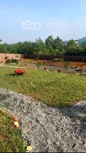 bán gấp đất nền 863.8m2 tại phú cát, quốc oai, hà nội, giá 13,8 tỷ