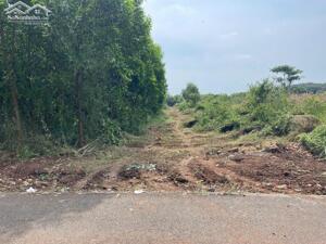 BÁN 7691.5 M² ĐẤT XÃ LONG TÂN, ĐẤT ĐỎ, GIÁ 2,7 TỶ/SÀO. LH:0938677702.