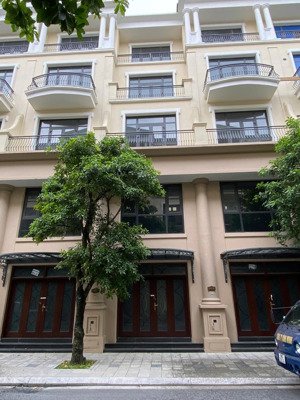 biệt thự đẹp xuất sắc tại vinhomes ocean park 2, giá thỏa thuận, 63m2