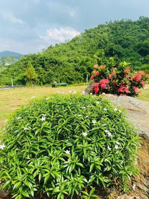 cần bán cực gấp đất hồ đồng vỡ view hồ 293m mt 10m xây nhà nghỉ dưỡng villa tiềm năng