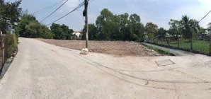 bán 546 m2 đất đường đình đức thiện, xã bình chánh, huyện bình chánh tp hồ chí minh